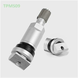 Stabljika ventila guma za Tpms